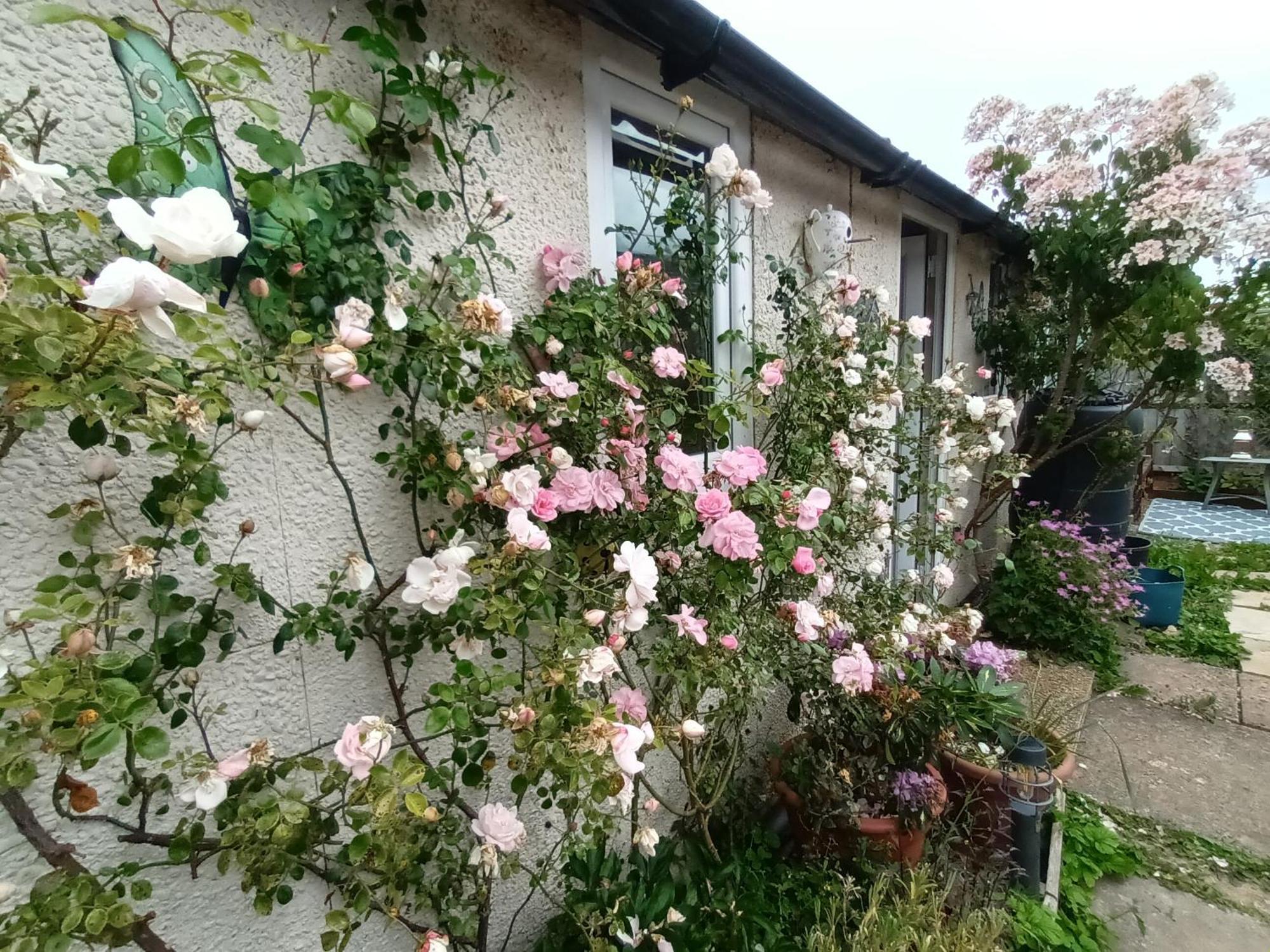 Private Suite In Oxfordshire, A40 Witney Exterior foto